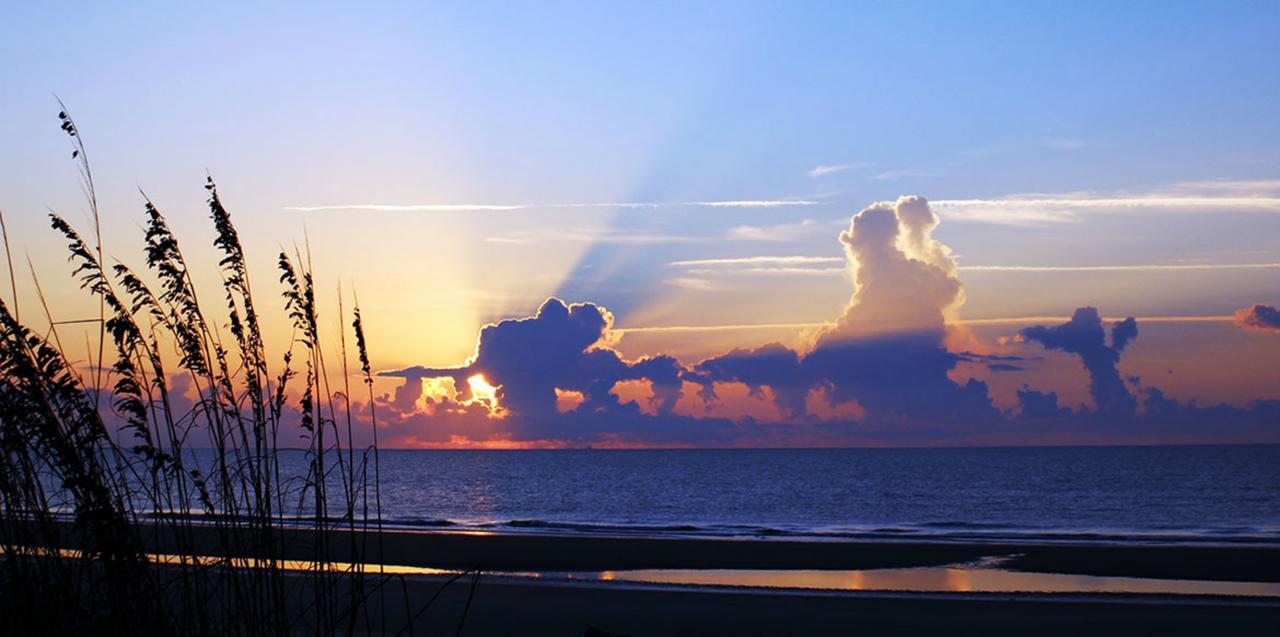 Holiday Sands South شاطئ ميرتل المظهر الخارجي الصورة